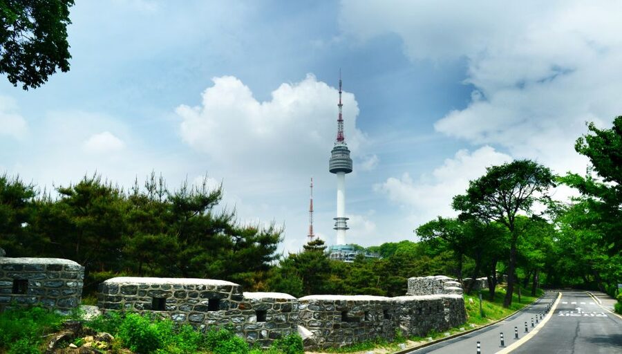 Seoul: City Highlights Full or Half Day Custom Private Tour - Namsan Tower, Gangnam, and modern Seoul