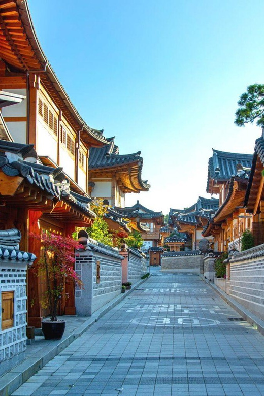 Seoul: City or Suburbs Private Chartered Car Tour for 10HR - What the driver-guide adds to the day