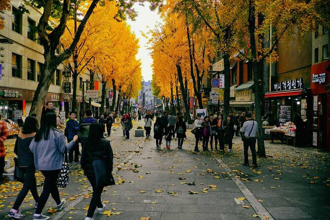 Seoul City Walking Private Tour (3hours) - Bukchon’s old homes and steep streets