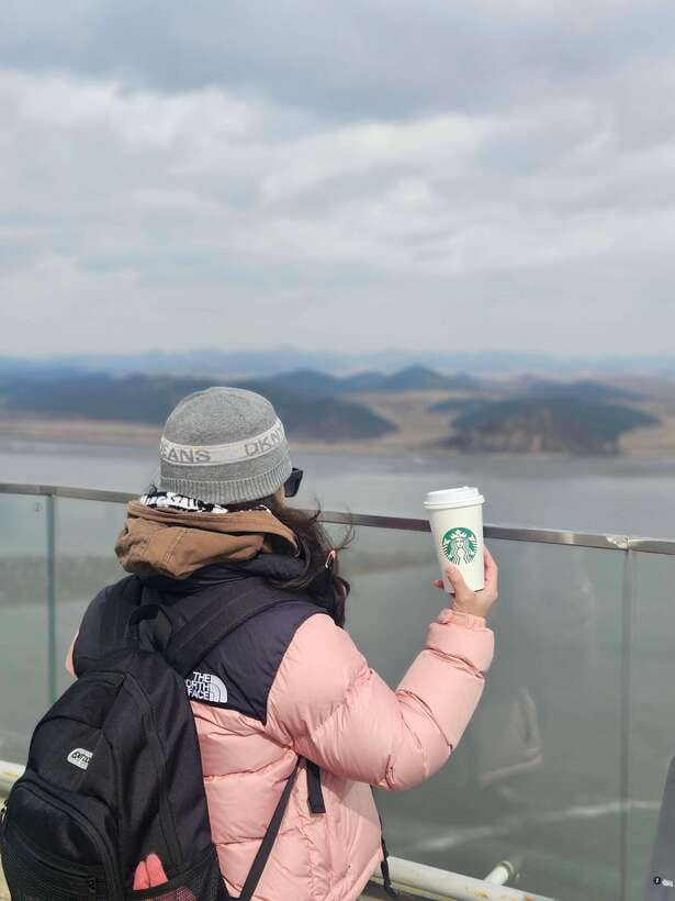 Seoul: Closest DMZ Observatory with North Korea View (1.4km) - Who should book this experience?