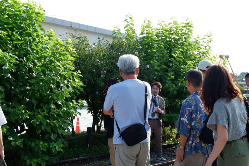 Seoul: DMZ Tour with Japanese-Speaking Guide - Japanese guidance is a major part of the experience