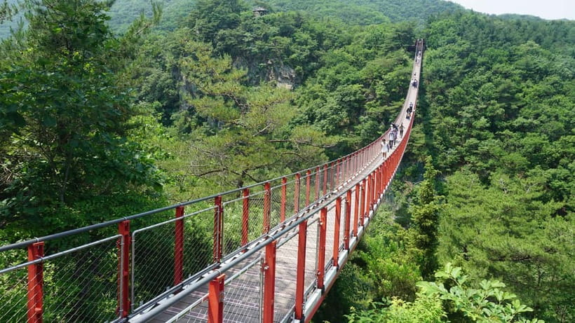 Seoul: DMZ Tour with Optional Suspension Bridge - Key points to know before you book