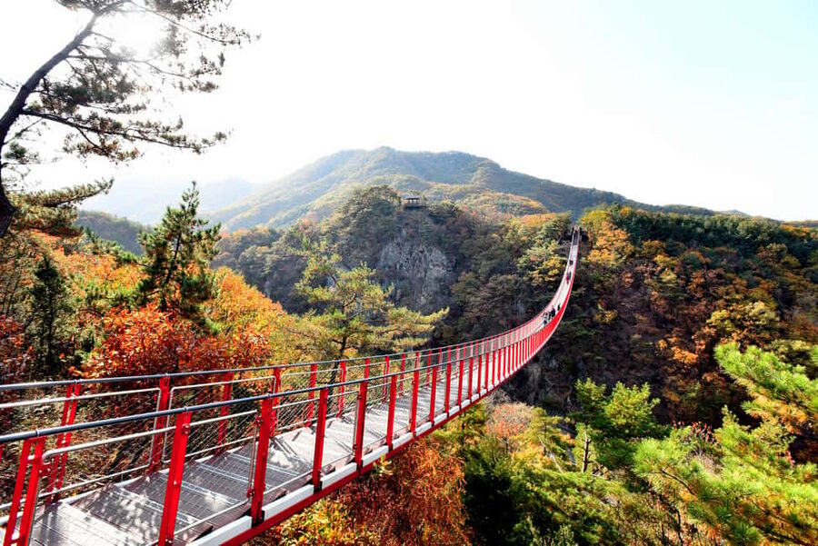 Seoul: DMZ Tour with Optional Suspension Bridge - Why the DMZ feels different from an ordinary day trip