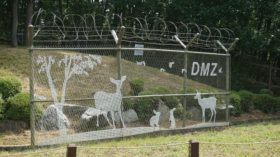 Seoul: DMZ Tour with Optional Suspension Bridge - The Gamaksan Suspension Bridge option