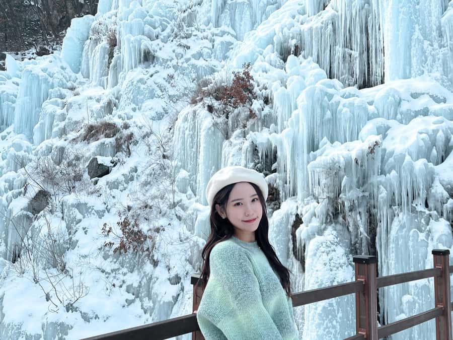 Seoul: Elysian Gangchon Winter Ski Resort Fun Day Tour - What the $15 price really means