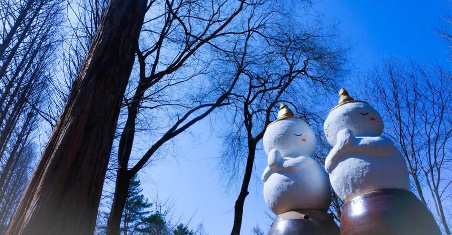 Seoul: Elysian Gangchon Winter Ski with Nami Island Day Tour - Key points to know before booking