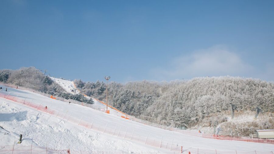 Seoul: Elysian Gangchon Winter Ski with Nami Island Day Tour - Weather, children, and practical preparation