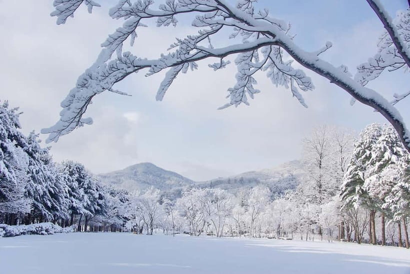 Seoul: Elysian Gangchon Winter Ski with Nami Island Day Tour - Nami Island from about 9:30am to 1pm