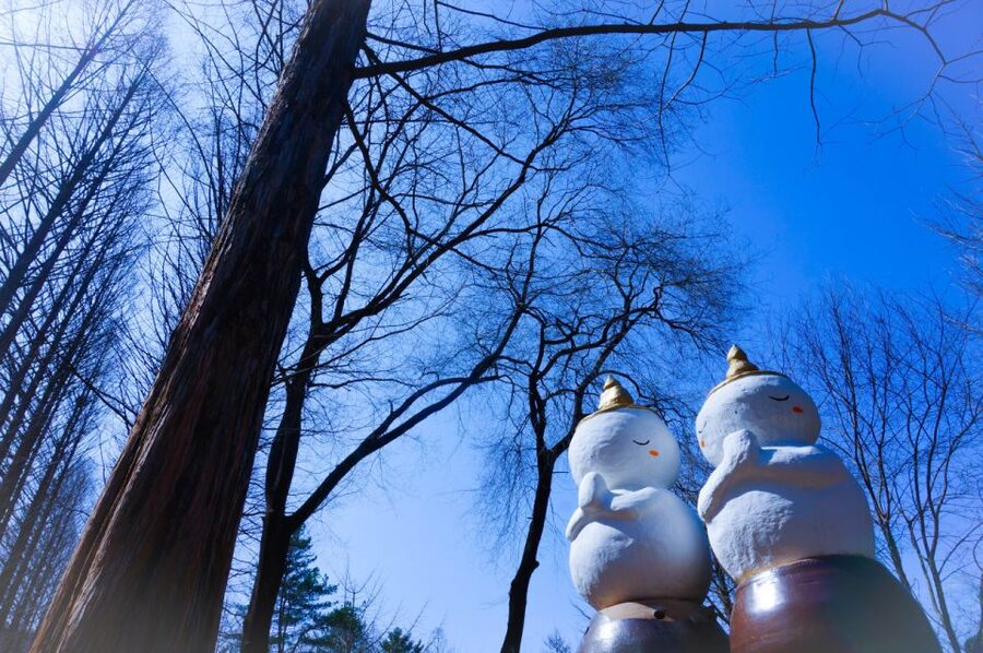 Seoul: Elysian Gangchon Winter Ski with Nami Island Day Tour - What the price includes, and what it does not