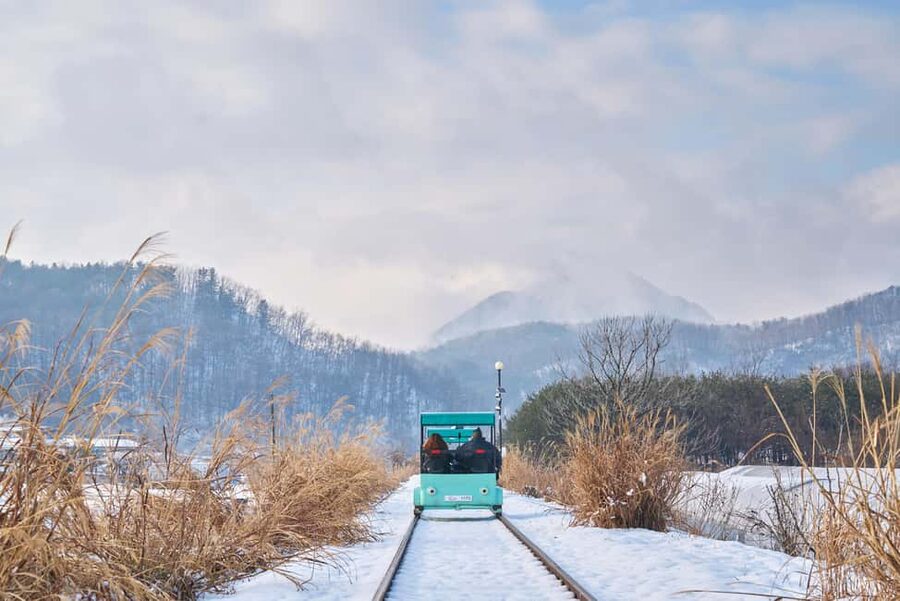 Seoul: Eobi Ice Valley, Alpaca World, Nami Island and More - A long winter day beyond Seoul