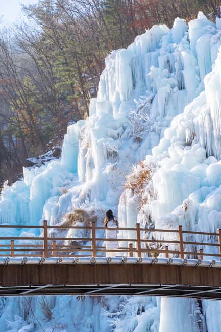 Seoul: Eobi Ice Valley, Alpaca World, Nami Island and More - Nami Island and the Winter Sonata connection