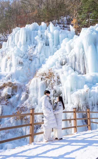Seoul: Eobi Ice Valley, Alpaca World, Nami Island and More - How the coach schedule affects your day