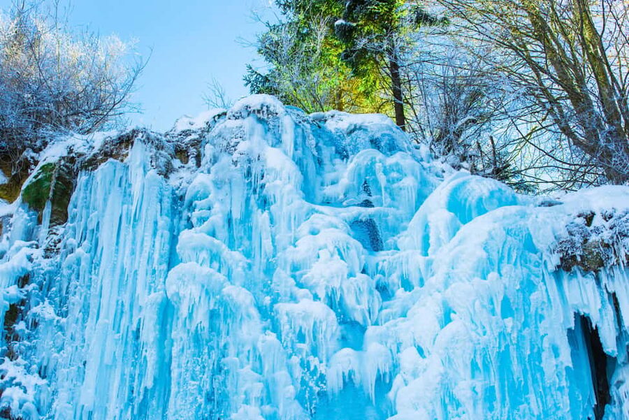 Seoul: Eobi Ice Valley, Alpaca World, Nami Island and More - Guides who add value to the ride