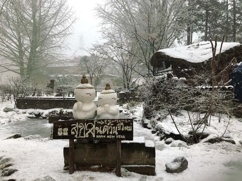 Seoul: Eobi+Nami+Hanbok(+RailBike or Strawberry Options)Tour - What the $51 price really covers