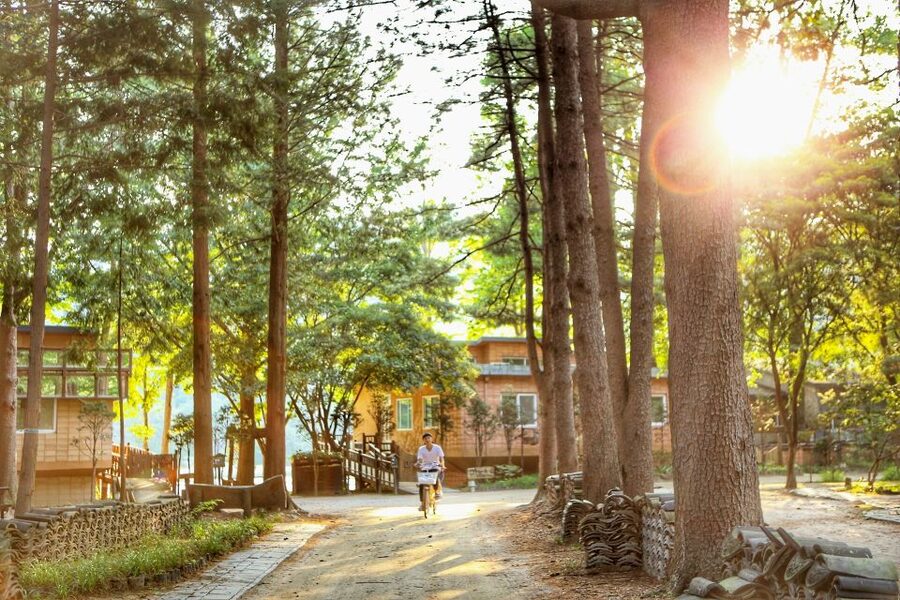 Seoul: Eobi Valley(Winter), Strawberry, Nami Island and Bike - Flowergarden Strawberry Farm and the picking lesson
