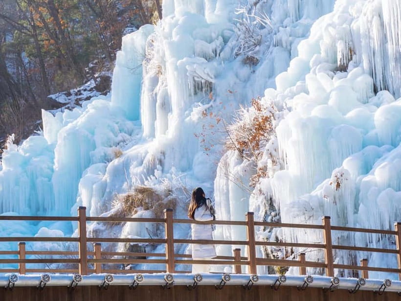 Seoul: Eobi Valley(Winter), Strawberry, Nami Island and Bike - How the $88 price measures up