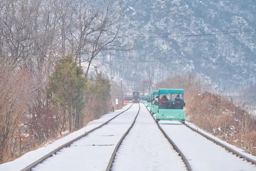 Seoul: Eobi Valley(Winter), Strawberry, Nami Island and Bike - Who should book this day trip?