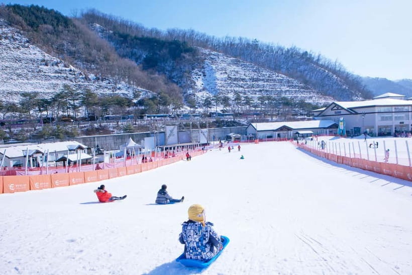 Seoul: Full-Day Winter Trip Ski Resort, Ice Valley, Namiseom - Moving Walkway or Chairlift?