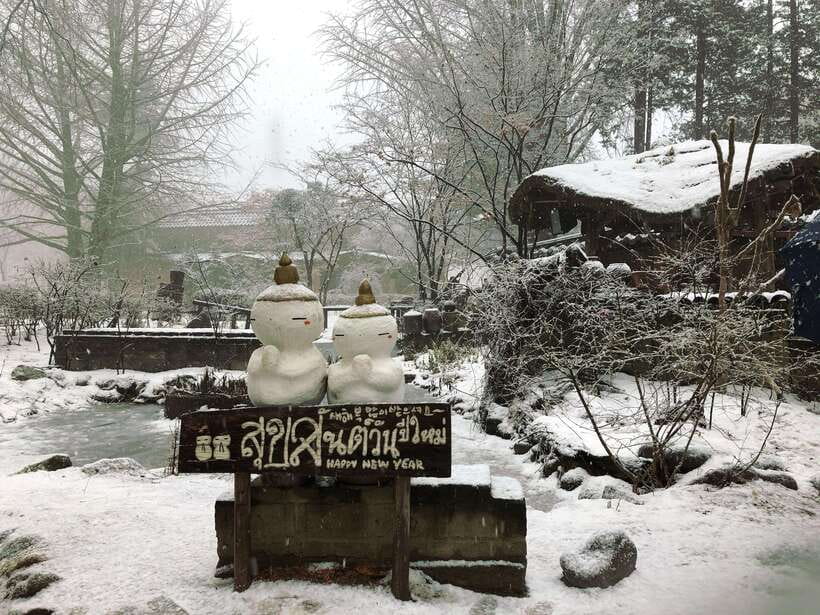 Seoul: Full-Day Winter Trip Ski Resort, Ice Valley, Namiseom - Elysian Gangchon: A Practical Place to Learn