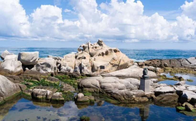 Seoul: Gangneung BTS K-Pop & K-Drama Filming Locations Tour - The BTS Bus Stop is quick, iconic, and easy to overestimate