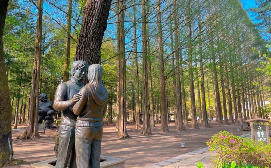 Seoul: Gangwon-do Day Trip with Alpaca World & Nami Island - Which kind of visitor will enjoy it most?