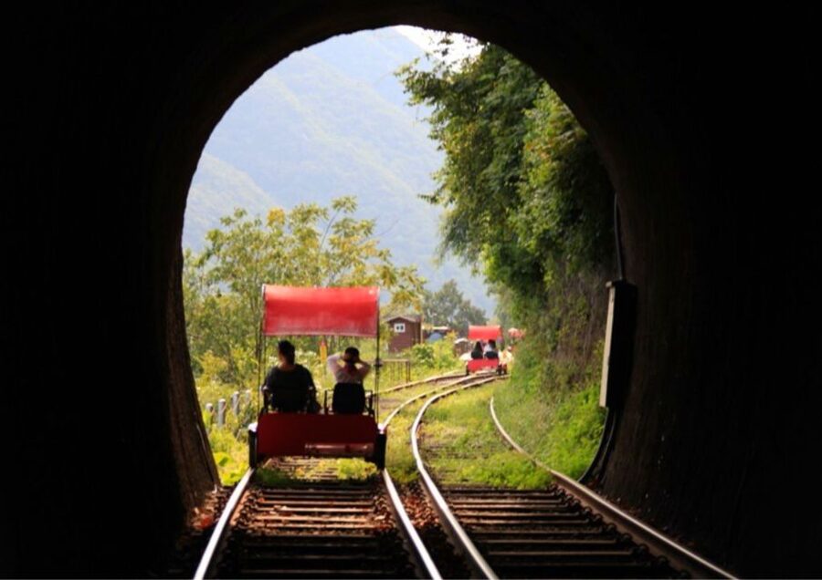 Seoul: Gangwon-do Day Trip with Alpaca World & Nami Island - Is $64 good value for this day?