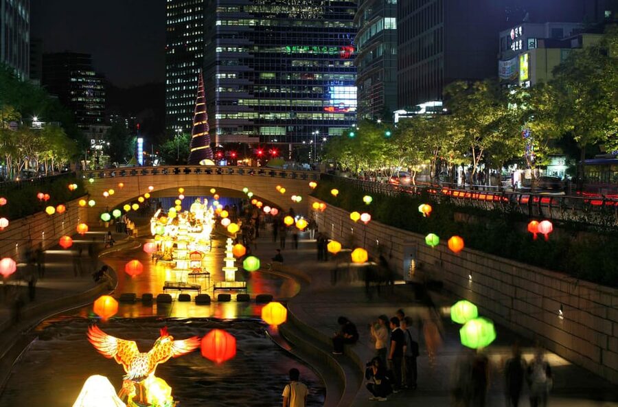 Seoul Gwangjang Market Foody Walking Tour - Practical booking advice before you commit