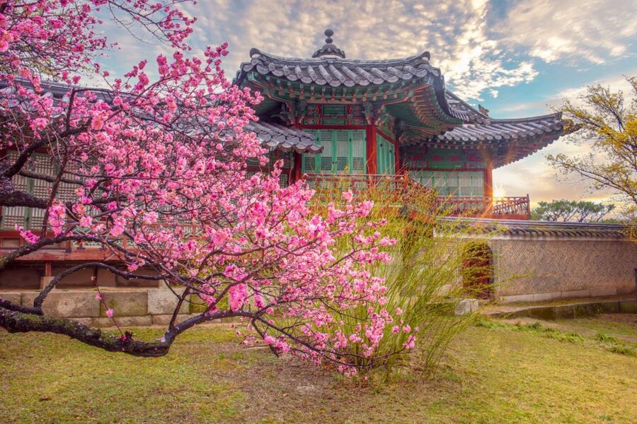 Seoul: Gyeongbok Palace and Bukchon Hanok Walking Tour - The National Folk Museum’s view of ordinary life