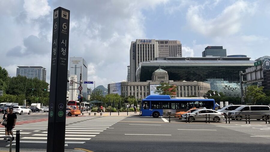 Seoul: Gyeongbok Palace and Bukchon Hanok Walking Tour - The guide makes the difference
