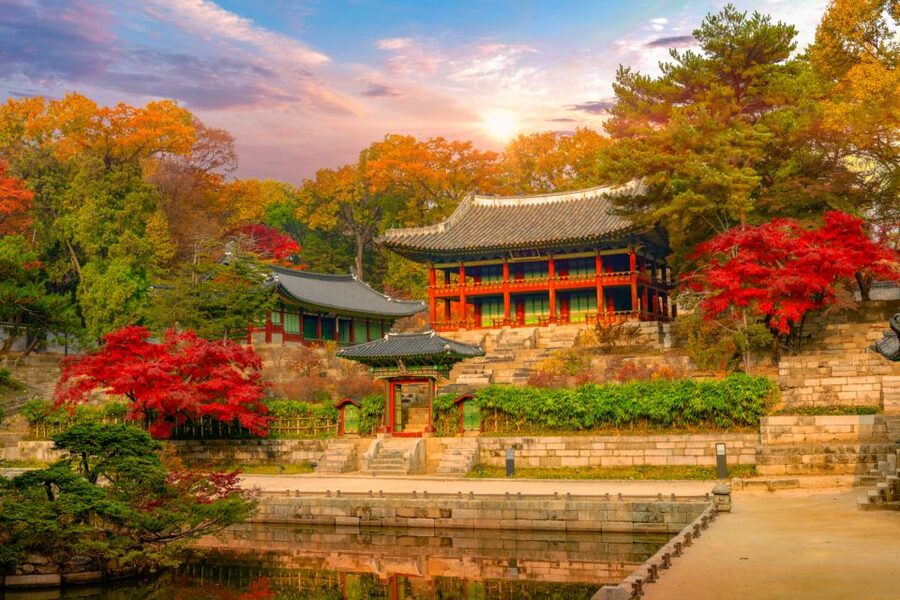 Seoul: Gyeongbok Palace and Bukchon Hanok Walking Tour - Weather, clothing, and walking advice