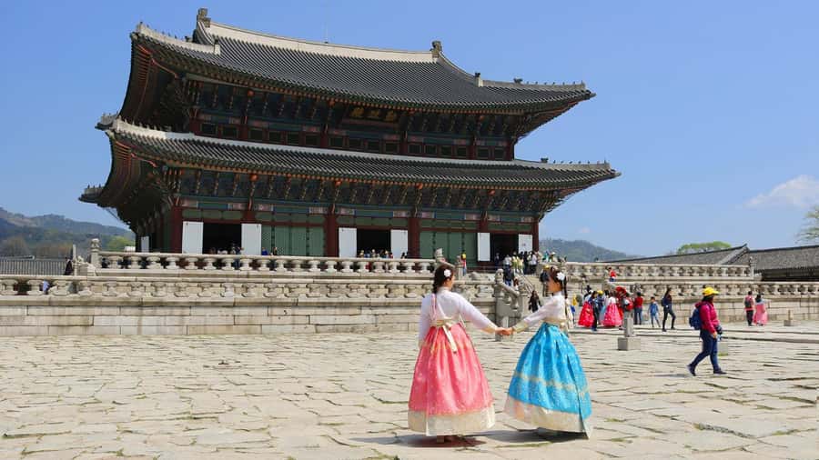 Seoul: Gyeongbokgung / Hanok Village / N Seoul Tower - Samgyetang lunch and dietary requests