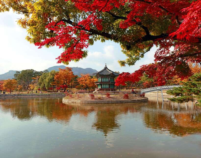 Seoul Highlights: Gyeongbok Palace, Insadong & N Seoul Tower - Why this tour works for a first day in Seoul