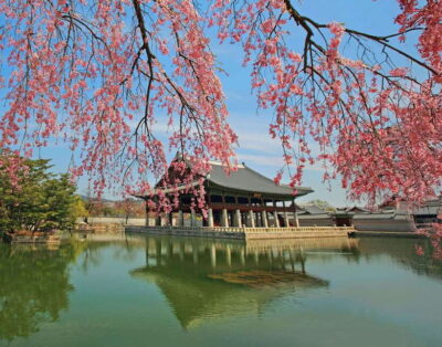 Seoul Highlights: Gyeongbok Palace, Insadong & N Seoul Tower