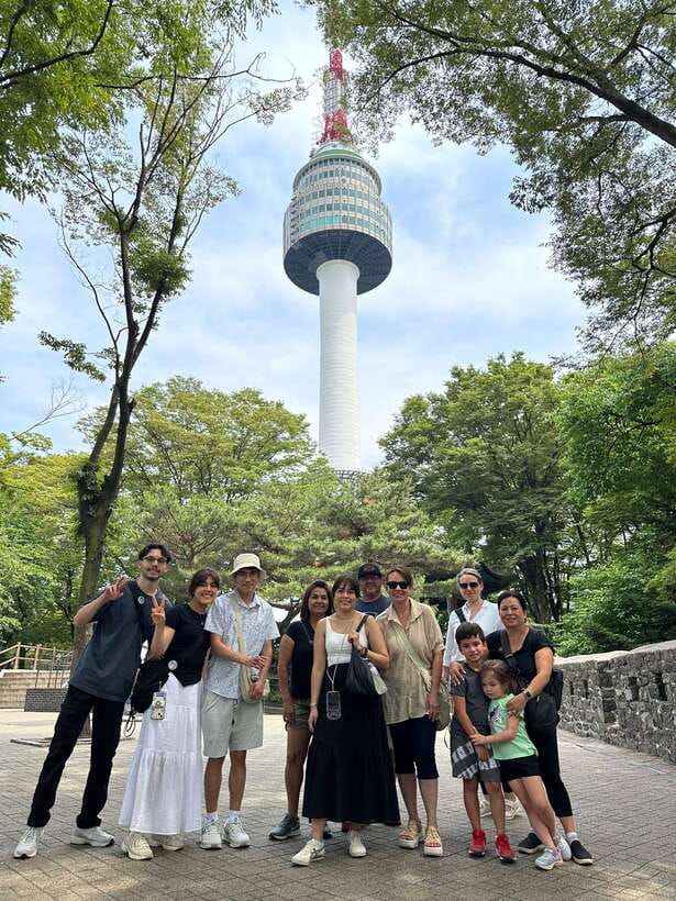 Seoul Highlights: Gyeongbok Palace, Insadong & N Seoul Tower - The National Folk Museum in 30 minutes