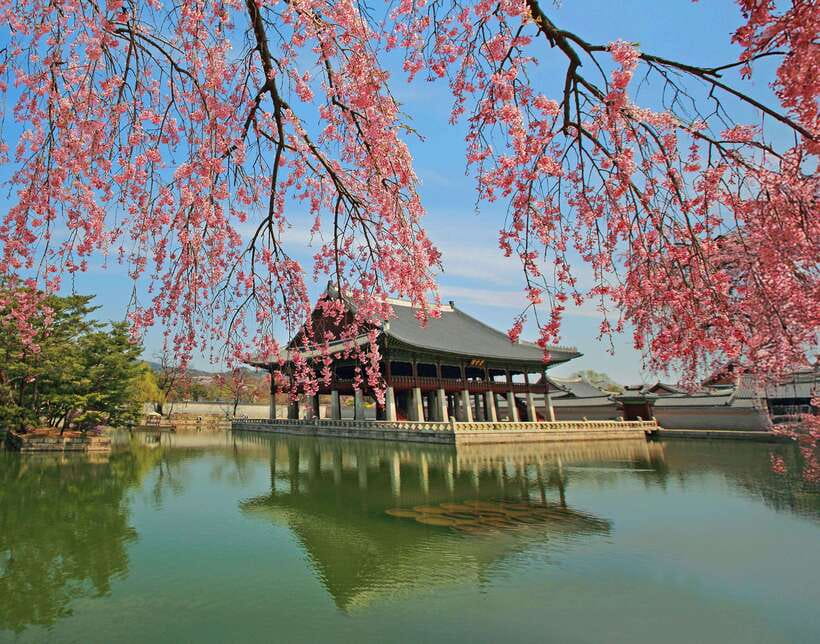 Seoul Highlights: Gyeongbok Palace, Insadong & N Seoul Tower - Jogyesa Temple and Seoul’s Buddhist center