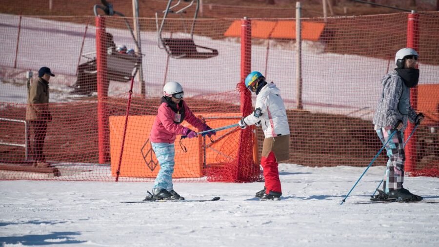 Seoul: Jisan Forest Winter Ski Day Tour with Basic Lesson - From Seoul streets to Jisan’s pine woods