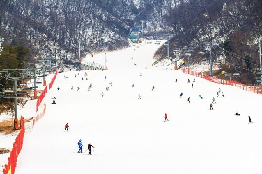 Seoul: Jisan Forest Winter Ski Day Tour with Basic Lesson - Arriving at 9:40 AM: rentals and getting organized