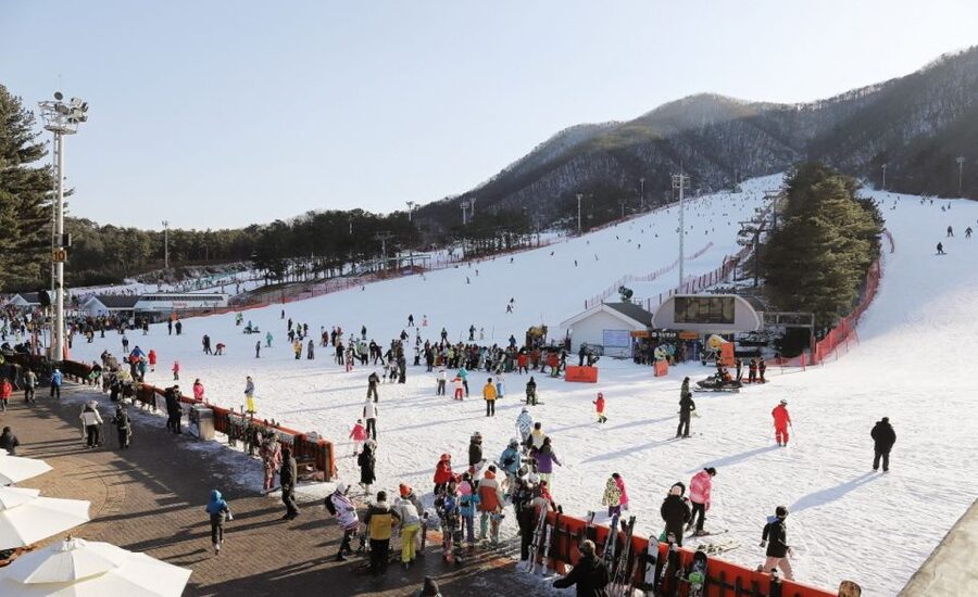 Seoul: Jisan Forest Winter Ski Day Tour with Basic Lesson - What the $19 starting price really means