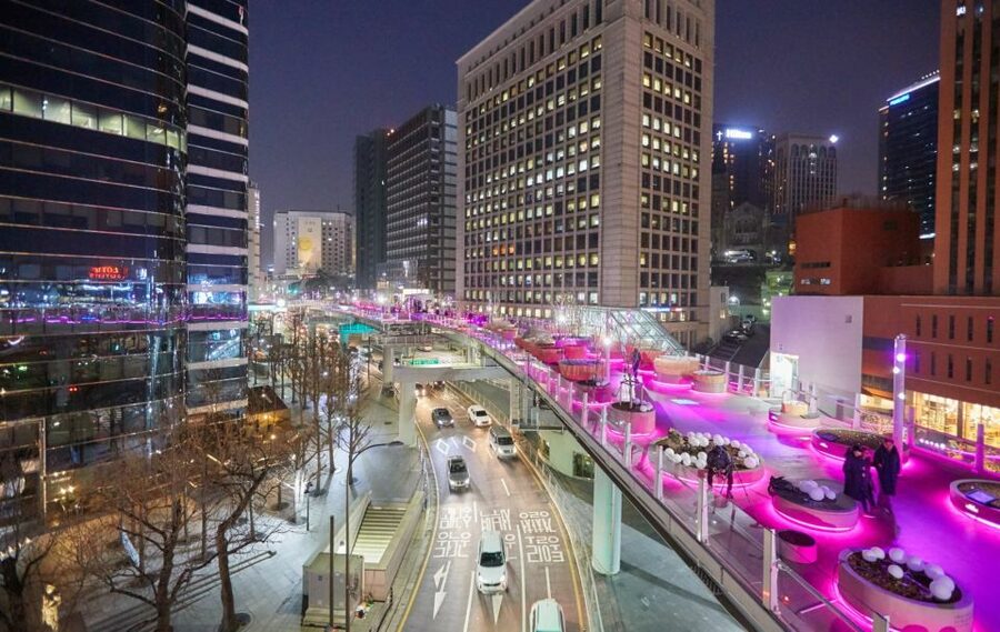 Seoul: Moonlight Rainbow Fountain Show Night Tour - What the guide adds to the evening