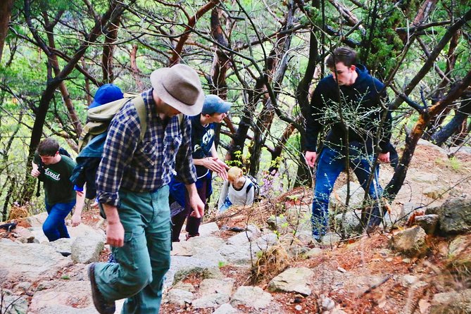 Seoul Mountain Hike: Temples, Folklore & Traditional Meal - Who should book this Bukhan Mountain hike?