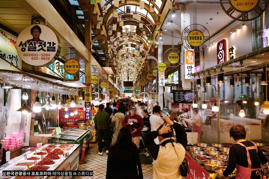Seoul: Mt.Seorak(+CableCar Option)+Sokcho Fish Market&Beach - What the $68 price really covers
