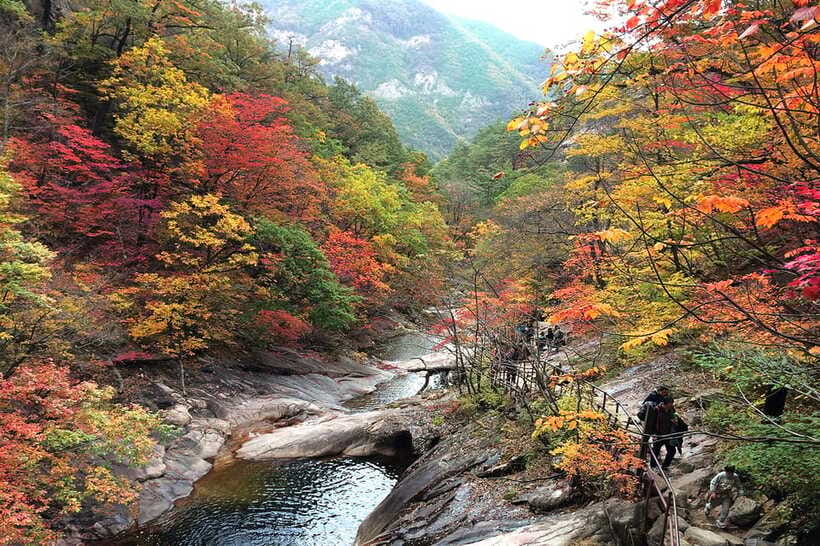 Seoul: Mt.Seorak(+CableCar Option)+Sokcho Fish Market&Beach - Sinheungsa and the Buddha statue