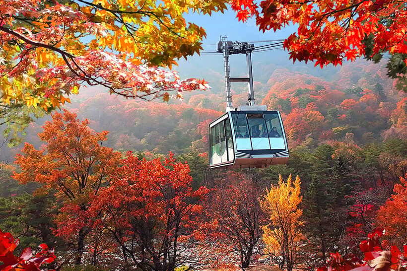 Seoul: Mt.Seorak(+CableCar Option)+Sokcho Fish Market&Beach - Sokcho Fishery Market in 75 minutes