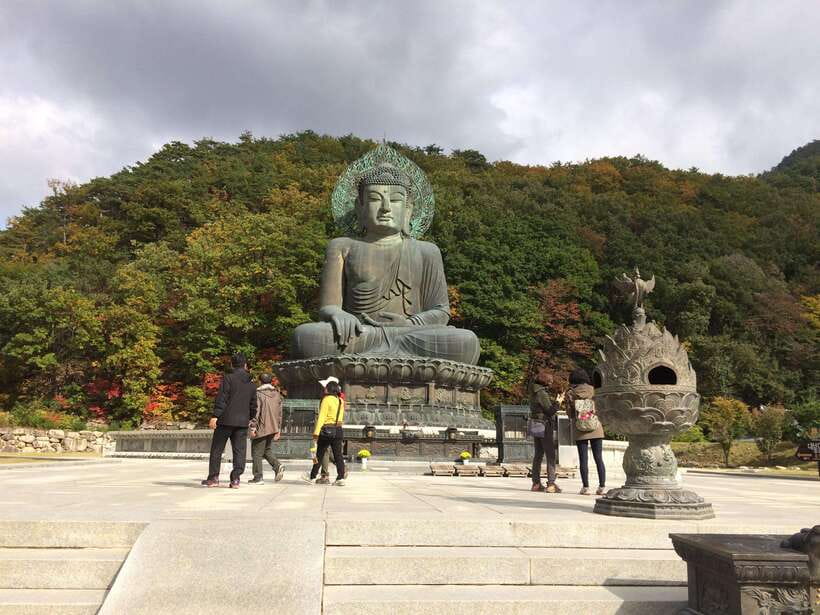 Seoul: Mt.Seorak(+CableCar Option)+Sokcho Fish Market&Beach - Starting from Seoul and settling into the long ride