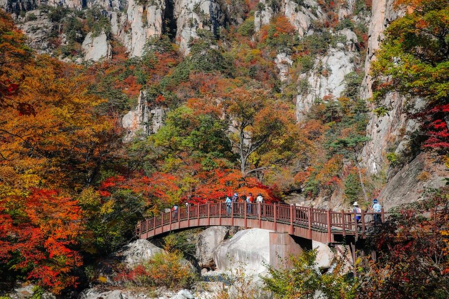 Seoul: Mt Seorak + Naksansa Temple or Nami Island Group Tour - Key points at a glance