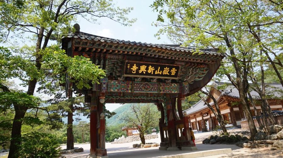 Seoul: Mt Seorak + Naksansa Temple or Nami Island Group Tour - Who should book this Seoul day trip