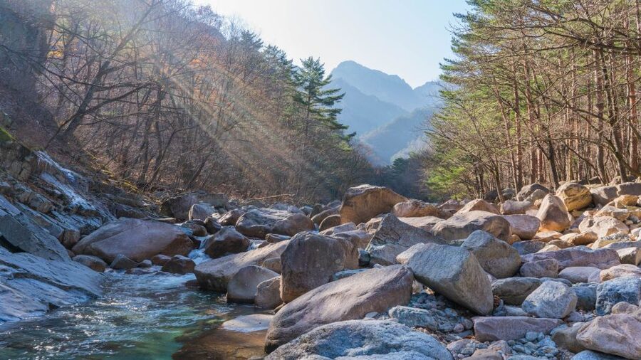 Seoul: Mt Seorak + Naksansa Temple or Nami Island Group Tour - Mt Seorak gives the day its real sense of place