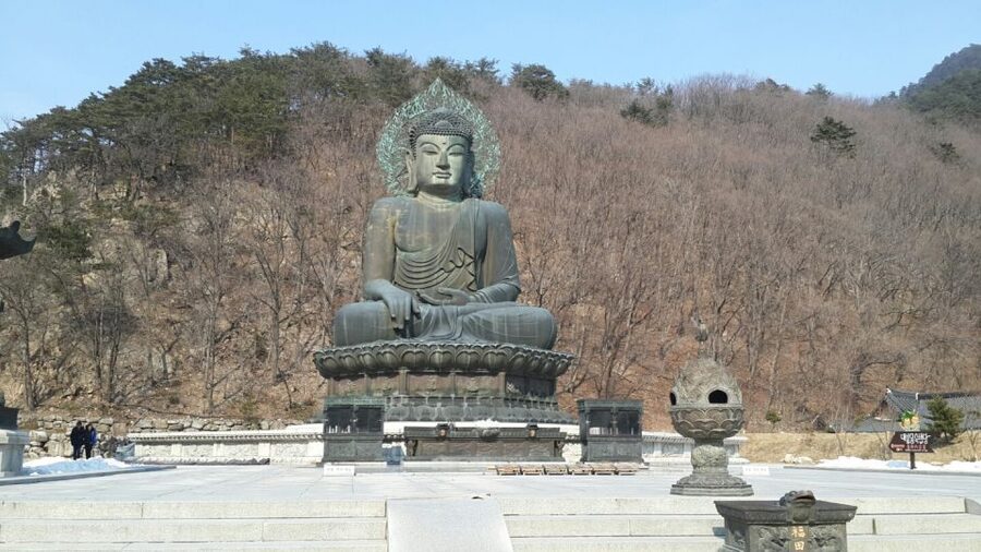 Seoul: Mt Seorak + Naksansa Temple or Nami Island Group Tour - The guide’s role is practical, not overbearing