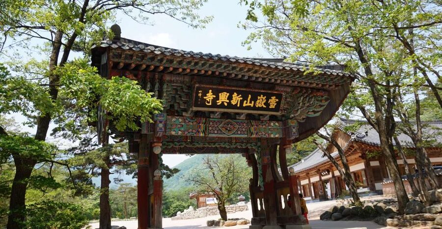Seoul: Mt Seorak + Naksansa Temple or Nami Island Group Tour - Transport is where the tour earns its price