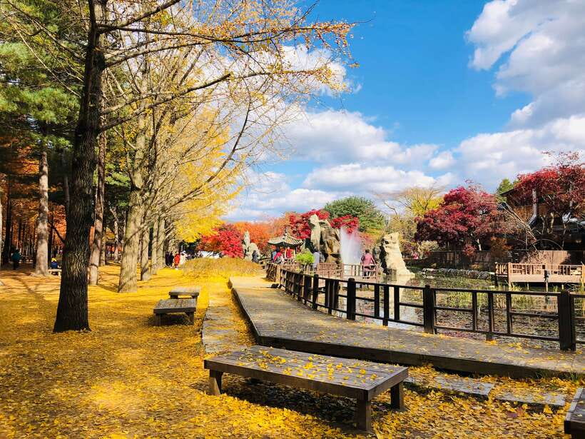 Seoul: Mt.Seorak, Nami Island & Korean Garden, No Shopping - Practical verdict: book it for range, not depth
